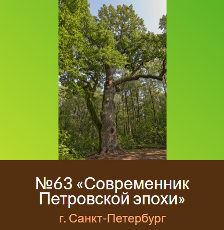 Всероссийский конкурс «Российское дерево года – 2026»